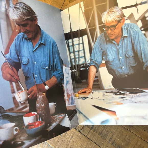 Willem de Kooning Art Book by Abbeville Modern Masters, Second Printing, 1983. - Picture 8 of 10